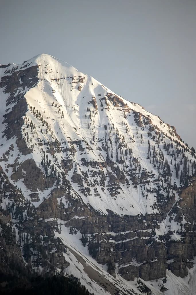 For Sellers Hero Image 1